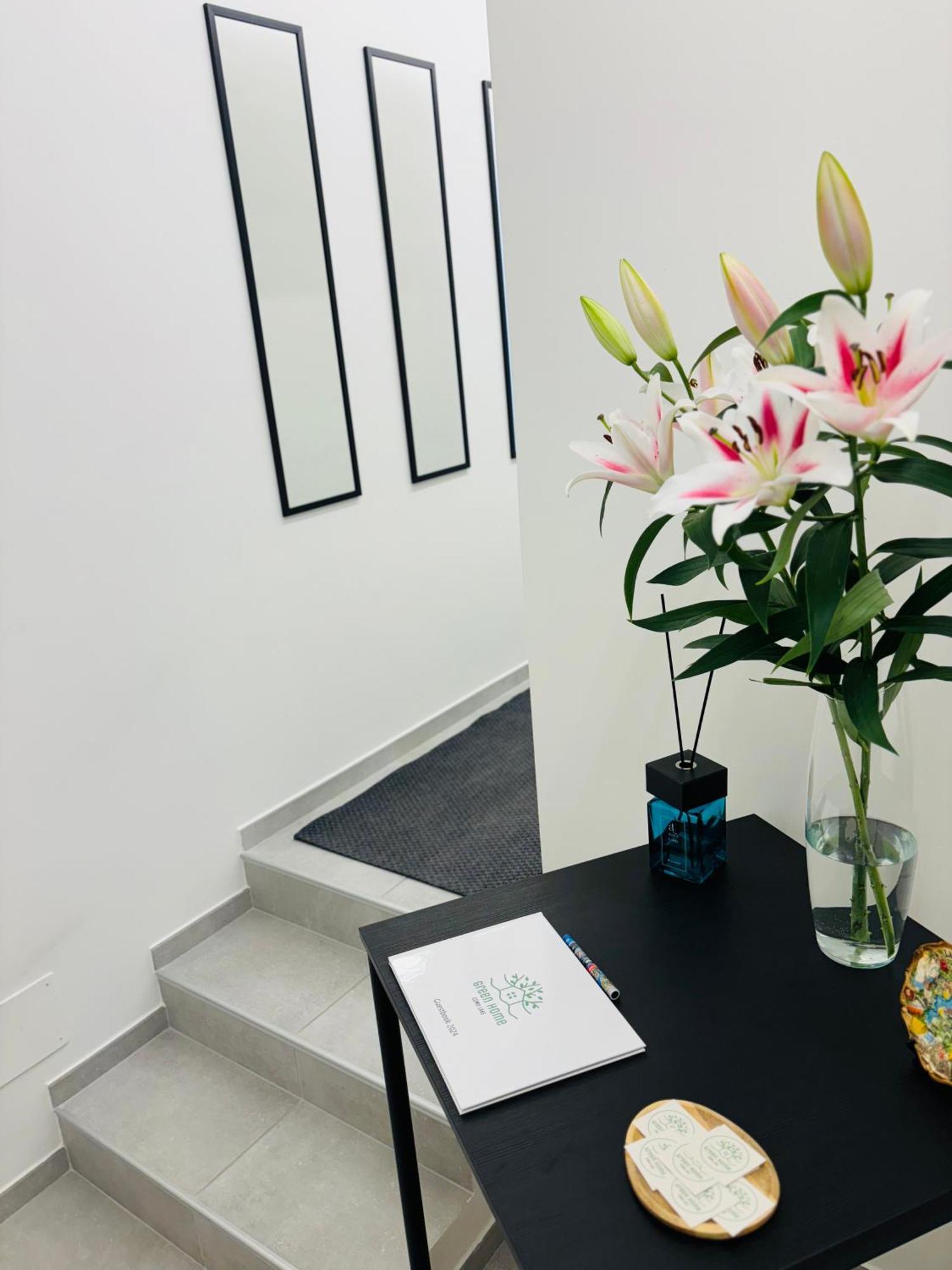 Green Home - Cernobbio Apt 科莫 外观 照片
